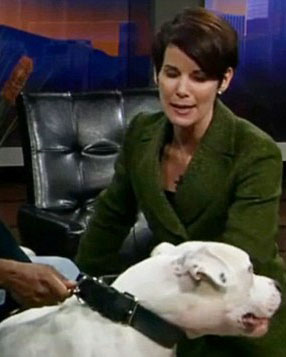 Kyle Dyer attacked by dog in show