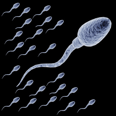 Male Sperm