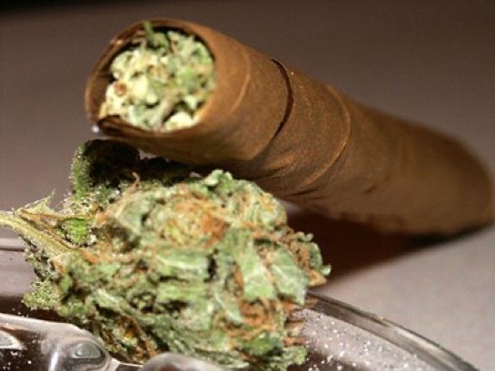 BLUNT